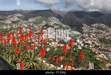 Landschaftsbild von Funchal, der Hauptstadt von Madeira, Portugal, Europa, umrahmt mit Orangen Aloe Blüten Stockfoto