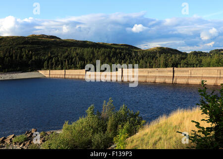 Sommer-Blick über Haweswater Stausee, Lake District National Park, Cumbria, England, UK Stockfoto