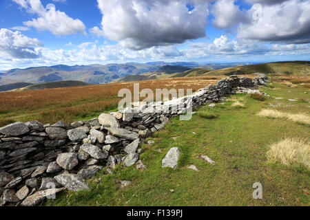 Sommer, Gipfel Cairn der High Street fiel, Nationalpark Lake District, Cumbria, England, UK.  High Street fiel Stockfoto