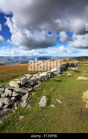 Sommer, Gipfel Cairn der High Street fiel, Nationalpark Lake District, Cumbria, England, UK.  High Street fiel Stockfoto