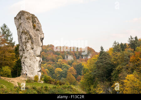 Der Fels "Herkules-Keule" in Pieskowa Skala im Ojcowski-Nationalpark (Polen) Stockfoto