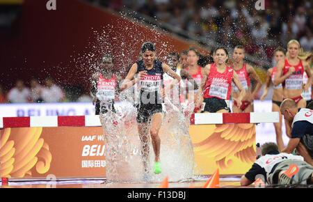 (150826)--Peking, 26. August 2015 (Xinhua)--Athleten konkurrieren, während die Frauen 3000 m Hindernis Finale bei den Weltmeisterschaften 2015 in das "Vogelnest" Nationalstadion in Peking, Hauptstadt von China, 26. August 2015. (Xinhua/Yue Yuewei) Stockfoto