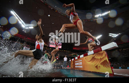 (150826)--Peking, 26. August 2015 (Xinhua)--Athleten konkurrieren, während die Frauen 3000 m Hindernis Finale bei den Weltmeisterschaften 2015 in das "Vogelnest" Nationalstadion in Peking, Hauptstadt von China, 26. August 2015. (Xinhua/Wang Lili) Stockfoto