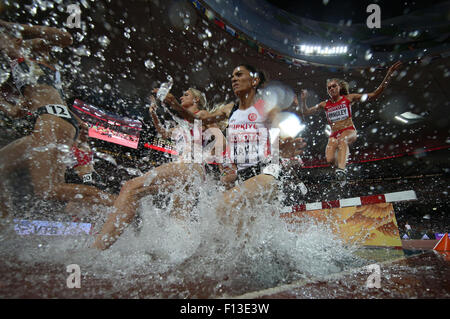 (150826)--Peking, 26. August 2015 (Xinhua)--Athleten konkurrieren, während die Frauen 3000 m Hindernis Finale bei den Weltmeisterschaften 2015 in das "Vogelnest" Nationalstadion in Peking, Hauptstadt von China, 26. August 2015. (Xinhua/Wang Lili) Stockfoto