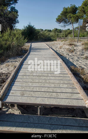 Gehweg zwischen dem Park und der Strand Stockfoto