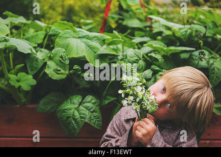 Junge hält einen Blumenstrauß Stockfoto