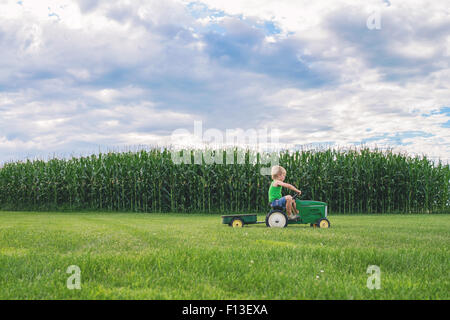 Junge Mais-Feld auf ein Spielzeug-Traktor fahren Stockfoto