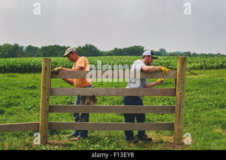 Zwei Männer, die Gebäude eines hölzernen Zauns auf einem Bauernhof Stockfoto