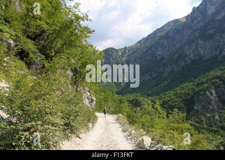 Pfad neben Fluss Shala aus Ndërlysaj Thethi, Thethi Nationalpark, Shkodra, verfluchten Berge, Albanien, Balkan, Europa Stockfoto