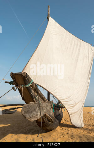 Low-Angle View of Katamaran Angelboot/Fischerboot (Oruva) mit weißen Segeln am Strand von Negombo, Sri Lanka Stockfoto