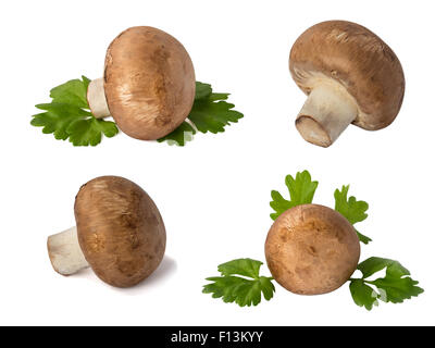 Satz von Pilze Champignon mit grünen Blättern, die isoliert auf weißem Hintergrund Stockfoto