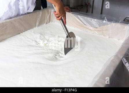 Eine Frau arbeitet in einer kleinen Familie Molkerei ist einen Käse-Batch mischen. Die Meierei ist spezialisiert auf Büffel Joghurt und Käse Stockfoto