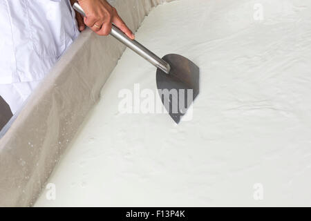 Eine Frau arbeitet in einer kleinen Familie Molkerei ist einen Käse-Batch mischen. Die Meierei ist spezialisiert auf Büffel Joghurt und Käse Stockfoto