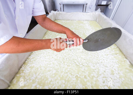 Eine Frau arbeitet in einer kleinen Familie Molkerei ist einen Käse-Batch mischen. Die Meierei ist spezialisiert auf Büffel Joghurt und Käse Stockfoto