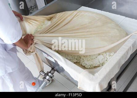 Eine Frau arbeitet in einer kleinen Familie Molkerei ist die letzten Schritte zur Herstellung eines Käse-Batches processing. Der Milchviehbetrieb ist spezialisiert Stockfoto