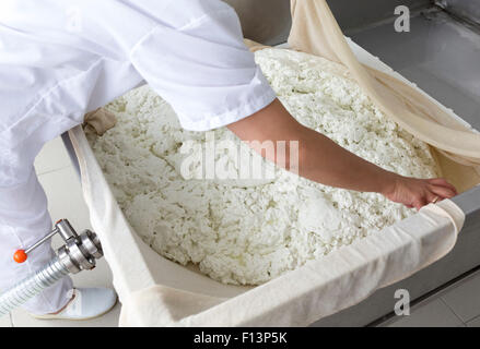 Eine Frau arbeitet in einer kleinen Familie Molkerei ist die letzten Schritte zur Herstellung eines Käse-Batches processing. Der Milchviehbetrieb ist spezialisiert Stockfoto
