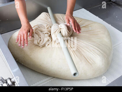 Eine Frau arbeitet in einer kleinen Familie Molkerei ist die letzten Schritte zur Herstellung eines Käse-Batches processing. Der Milchviehbetrieb ist spezialisiert Stockfoto