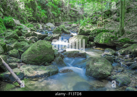 Wild Mountain Flussbett im trockenen Sommer, den Schweidnitzer Felsbrocken Protokolle Steinen, mit Moos bedeckt Stockfoto