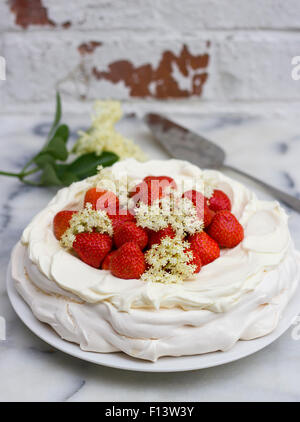 Ein Holunderblüten Creme und Erdbeeren Baiser Pavlova Stockfoto