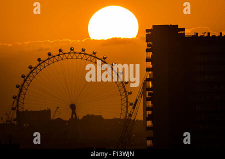 London, UK. 26. August 2015. Sonnenuntergang über London Eye Riesenrad Credit: Guy Corbishley/Alamy Live-Nachrichten Stockfoto