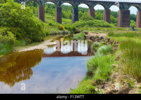 Großes Wasser der Flotte Viadukt, Flotte Tal, Cairnsmore der Flotte National Nature Reserve, Dumfries & Galloway, Schottland, Großbritannien Stockfoto