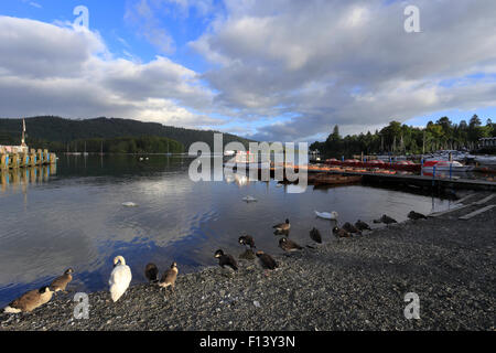 Lake Windermere, Bowness auf Windermere, Cumbria, Nationalpark Lake District, England, Vereinigtes Königreich. Stockfoto