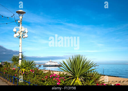 Eastbourne Strand, Strand in Eastbourne Stockfoto