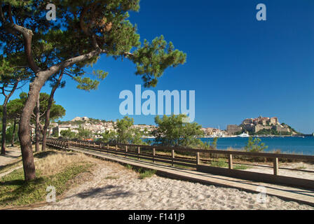 Calvi Kiefern und Eisenbahn Stockfoto