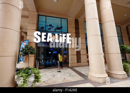 Sea Life Center in Barton quadratischem Querschnitt der das Trafford Centre Manchester uk Stockfoto