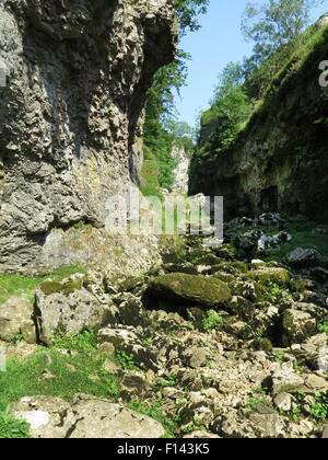 Steuerungen Gill, Yorkshire Dales, Stockfoto