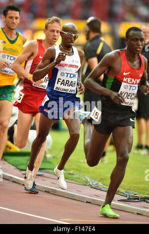 Peking, China. 26. August 2015. Mo Farah of Great Britain in der Herren-5000m Hitze tagsüber 5 der IAAF Weltmeisterschaften 2015 im National Stadium am 26. August 2015 in Peking, China. (Foto von Roger Sedres/Gallo Images) Bildnachweis: Roger Sedres/Alamy Live-Nachrichten Stockfoto