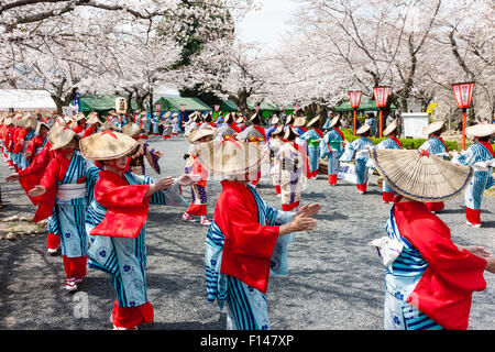 Japan, Tsuyama. Frühling Cherry Blossom Festival in Kakuzan Schlosspark. Frauen in der Tradition yukata Kostüm tanzen unter Kirschblüten Bäume. Stockfoto