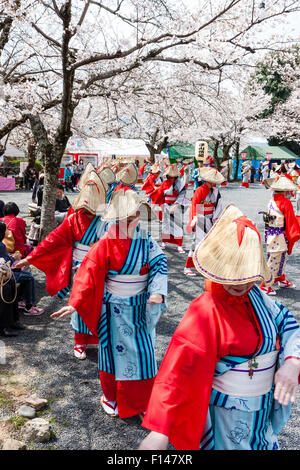 Japan, Tsuyama. Frühling Cherry Blossom Festival in Kakuzan Schlosspark. Frauen in der Tradition yukata Kostüm tanzen unter Kirschblüten Bäume. Stockfoto