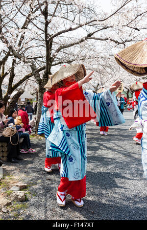 Japan, Tsuyama. Frühling Cherry Blossom Festival in Kakuzan Schlosspark. Frauen in der Tradition yukata Kostüm tanzen unter Kirschblüten Bäume. Stockfoto