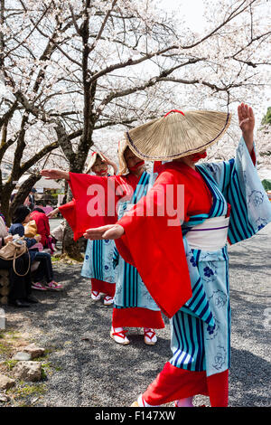 Japan, Tsuyama. Frühling Cherry Blossom Festival in Kakuzan Schlosspark. Frauen in der Tradition yukata Kostüm tanzen unter Kirschblüten Bäume. Stockfoto