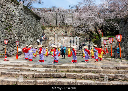 Japan, Tsuyama. Frühling Cherry Blossom Festival in Kakuzan Schlosspark. Frauen in der Tradition yukata Kostüm tanzen unter Kirschblüten Bäume. Stockfoto