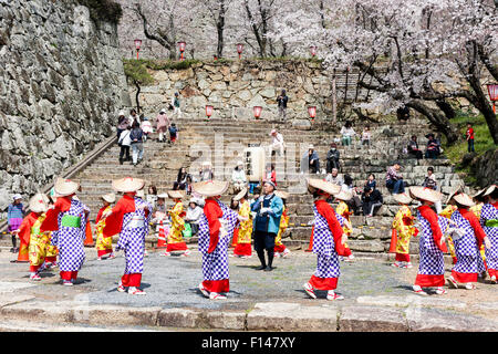 Japan, Tsuyama. Frühling Cherry Blossom Festival in Kakuzan Schlosspark. Frauen in der Tradition yukata Kostüm tanzen unter Kirschblüten Bäume. Stockfoto