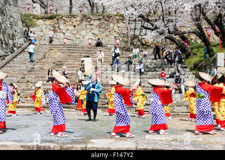 Japan, Tsuyama. Frühling Cherry Blossom Festival in Kakuzan Schlosspark. Frauen in der Tradition yukata Kostüm tanzen unter Kirschblüten Bäume. Stockfoto