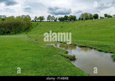 Wiese Feld und Flüsschen Zavet innerorts, Bulgarien Stockfoto