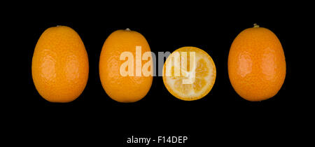 Vier ovale Kumquats in eine Zeile Nahaufnahme. Eine Kumquat ist in zwei Hälften geschnitten. Makro-Foto von oben auf schwarzem Hintergrund. Stockfoto