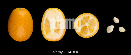 Ovale Kumquats mit Samen in einer Zeile-Nahaufnahme. Eine ganze Kumquat, schneiden Sie zwei in die Hälfte und drei Samen. Makro von oben, schwarzer Hintergrund. Stockfoto