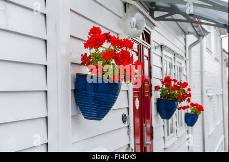 Rot blühende Pflanzen in blau glasierten Blumentopf auf einem traditionellen norwegischen Holz gebautes Haus montiert. Stockfoto