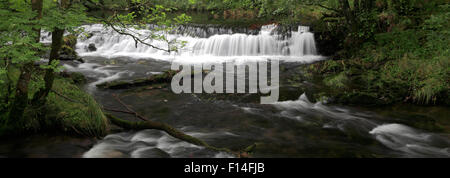 Colwith Force Wasserfälle auf dem Fluß Brathay nahe Elterwater, wenig Langdale, Nationalpark Lake District, Cumbria, England, Stockfoto