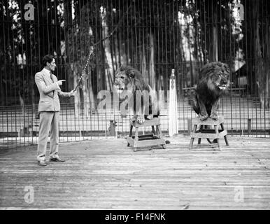 1920S 1930S MAN LION TAMER IN KÄFIG MIT ZWEI LÖWEN MIT PEITSCHE SCHLAGSTOCK TRAINING Stockfoto