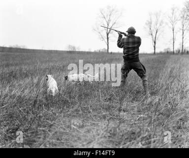 1920ER JAHRE MANHUNTER MIT SCHROTFLINTE ARBEITEN ZWEI JAGDHUNDE AUF PUNKT UND EHRE AUF WIESE Stockfoto