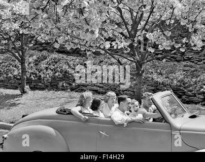 1950ER JAHREN 6 JUGENDLICHE 2 JUNGEN UND 4 MÄDCHEN HERUMFAHREN IN ALTEN CABRIO AUTO IM FRÜHLING Stockfoto