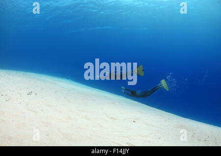 Rotes Meer, Ägypten. 15. Oktober 2014. Freediver schwimmt über sandigem Untergrund, Rotes Meer, Ägypten © Andrey Nekrassow/ZUMA Wire/ZUMAPRESS.com/Alamy Live-Nachrichten Stockfoto