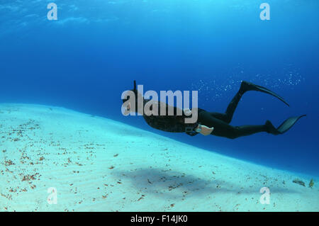 Rotes Meer, Ägypten. 15. Oktober 2014. Freediver schwimmt über sandigem Untergrund, Rotes Meer, Ägypten © Andrey Nekrassow/ZUMA Wire/ZUMAPRESS.com/Alamy Live-Nachrichten Stockfoto