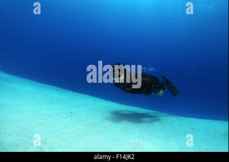 Rotes Meer, Ägypten. 15. Oktober 2014. Freediver schwimmt über sandigem Untergrund, Rotes Meer, Ägypten © Andrey Nekrassow/ZUMA Wire/ZUMAPRESS.com/Alamy Live-Nachrichten Stockfoto