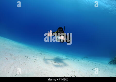 Rotes Meer, Ägypten. 15. Oktober 2014. Freediver schwimmt über sandigem Untergrund, Rotes Meer, Ägypten © Andrey Nekrassow/ZUMA Wire/ZUMAPRESS.com/Alamy Live-Nachrichten Stockfoto